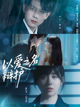 资源《以爱之名辩护》的海报