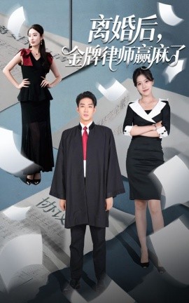 资源《离婚后，金牌律师赢麻了》的海报