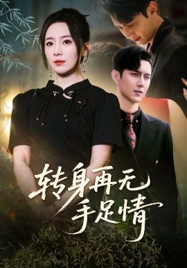 资源《转身再无手足情》的海报