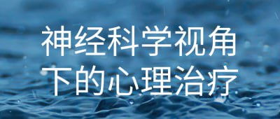 资源《神经科学视角下的心理治疗》的海报