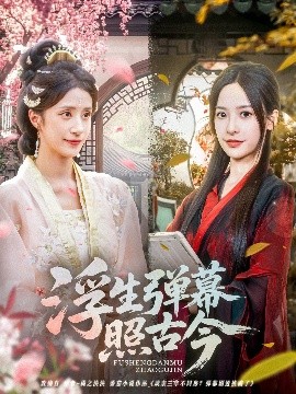 资源《浮生弹幕照古今》的海报