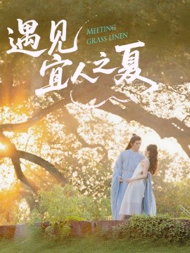 资源《遇见宜人之夏》的海报