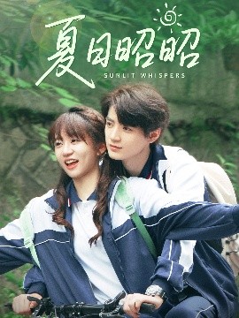 资源《夏日昭昭》的海报