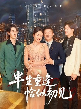 资源《半生重逢恰似初见》的海报