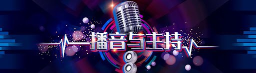 资源《好声音播音主持教学》的海报