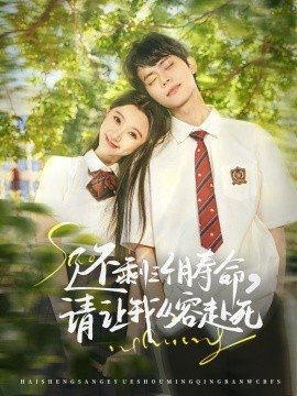 资源《还剩三个月寿命，请让我从容赴死》的海报