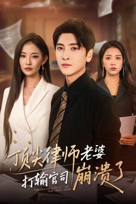 资源《顶尖律师老婆打输官司崩溃了＆爱至深处不回头》的海报