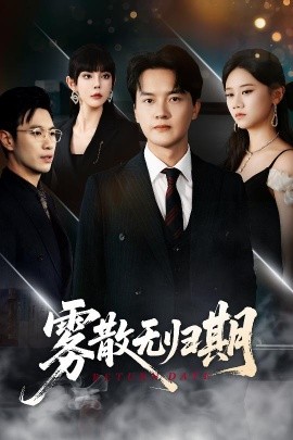 资源《雾散无归期》的海报