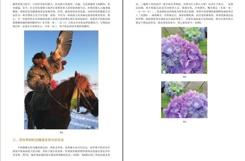 资源《《手机摄影攻略》手机也能轻松拍大片[epub]》的海报