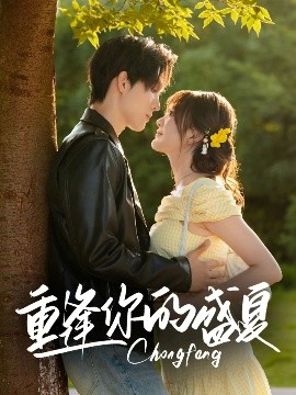资源《重逢你的盛夏》的海报