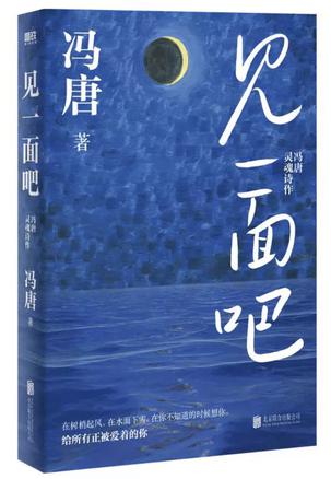 资源《见一面吧 [﻿小说文学] [pdf+全格式]》的海报