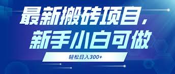 资源《最新搬砖项目，每天1小时，轻松日入300 ，新手小白可做》的海报