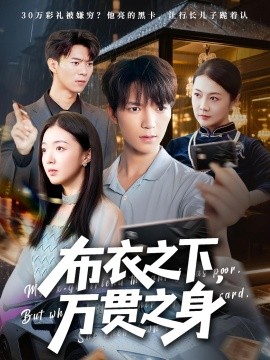资源《布衣之下，万贯之身》的海报