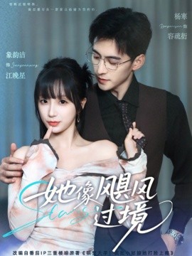 资源《她像飓风过境》的海报