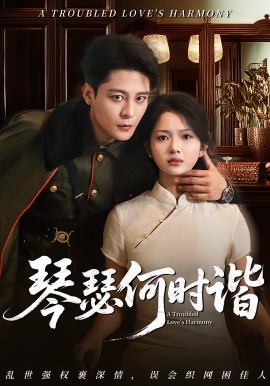 资源《琴瑟何时谐》的海报