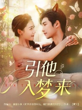 资源《引他入梦来》的海报