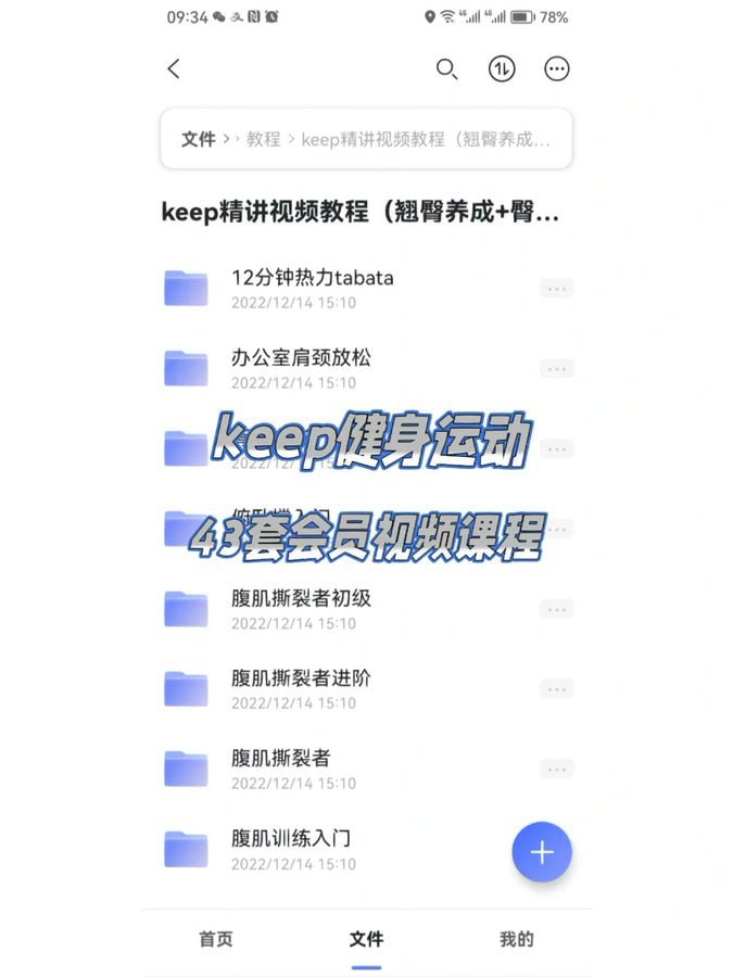 资源《keep VIP 付费运动健身教程合集》的海报