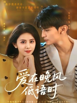 资源《爱在晚风低语时》的海报