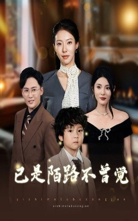 资源《已是陌路不曾觉》的海报