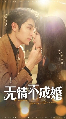 资源《无情不成婚》的海报