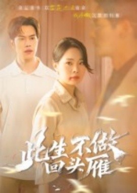资源《此生不做回头雁》的海报