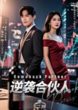 资源《逆袭合伙人》的海报