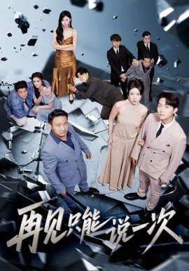 资源《再见只能说一次》的海报