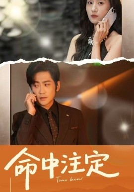 资源《命中注定》的海报
