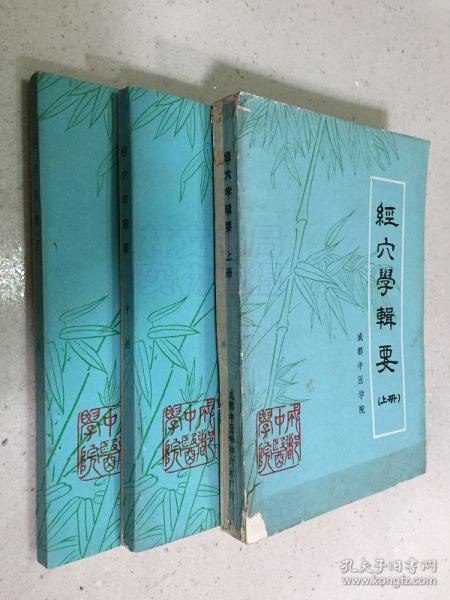 资源《《经穴春秋》林大栋 问止中医系列[epub]》的海报