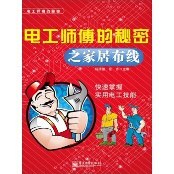 资源《《电工师傅的秘密之家居布线》快速掌握实用电工技能[epub]》的海报