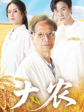 资源《大农》的海报