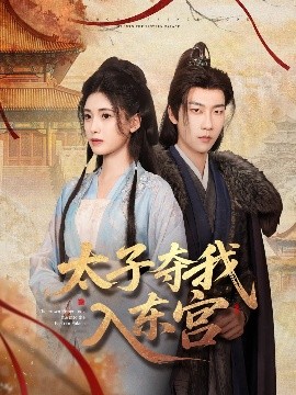 资源《太子夺我入东宫》的海报