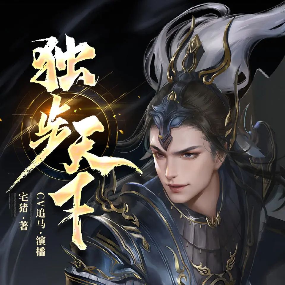 资源《多人有声剧《独步天下》著：宅猪 播：追马 1330集完》的海报