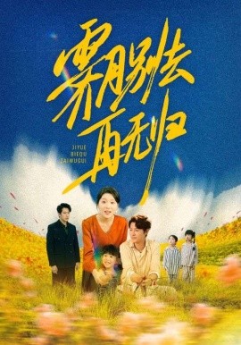 资源《霁月别去再无归》的海报