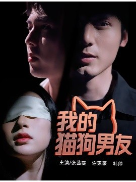 资源《我的猫狗男友》的海报