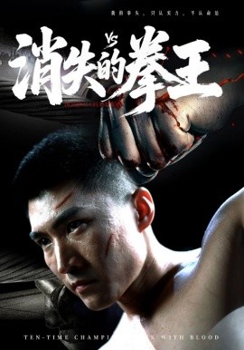 资源《消失的拳王》的海报