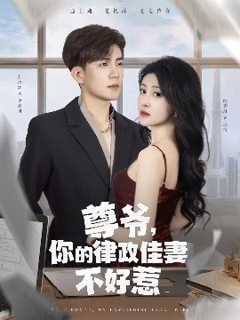 资源《尊爷，你的律政娇妻不好惹》的海报