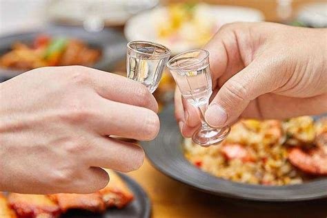 资源《酒与养生喝酒技术》的海报