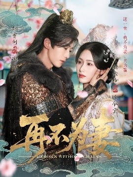 资源《再不为妻》的海报