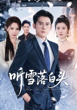 资源《听雪落白头》的海报