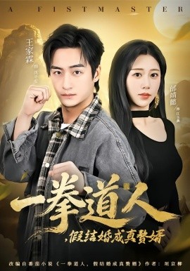 一拳道人，假结婚成真赘婿
