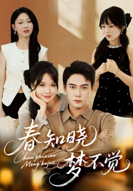 资源《春知晓梦不觉》的海报