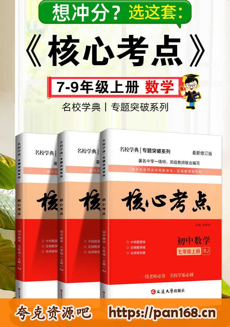 资源《核心考点-初中数学（2024版）》的海报