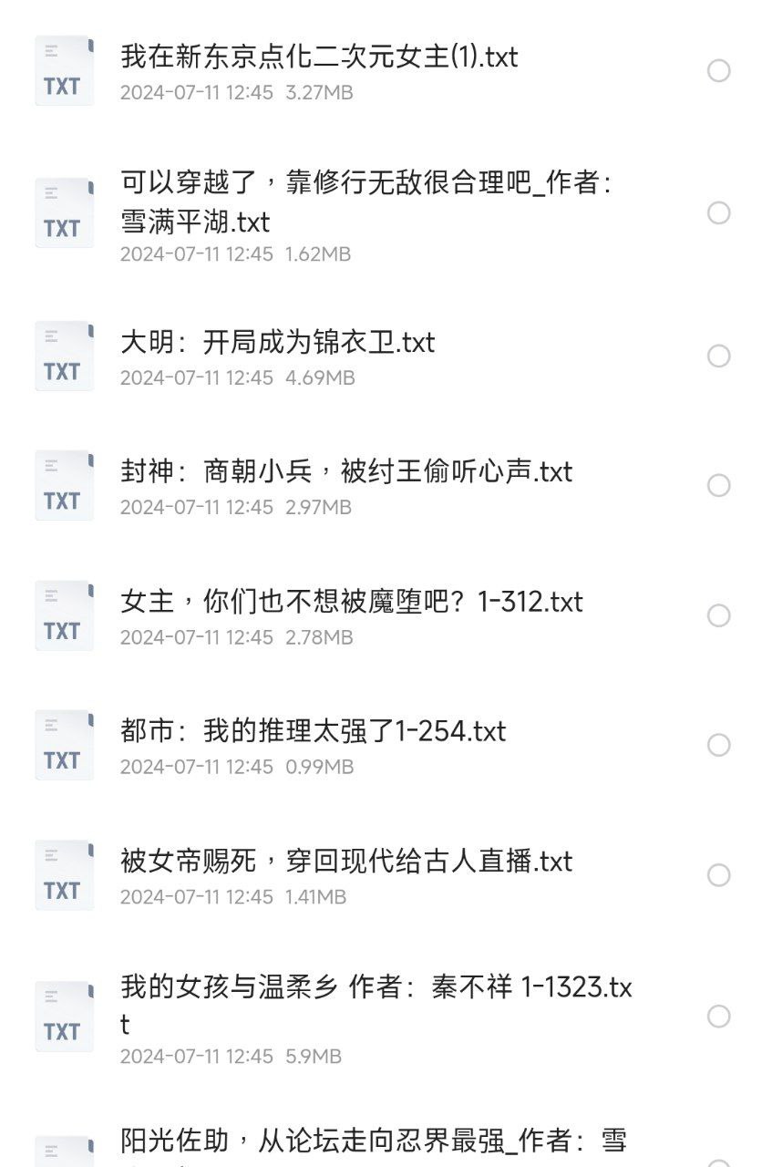 资源《菠萝包小说》的海报