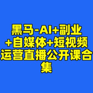资源《黑马-AI+副业+自媒体+短视频运营直播公开课合集》的海报