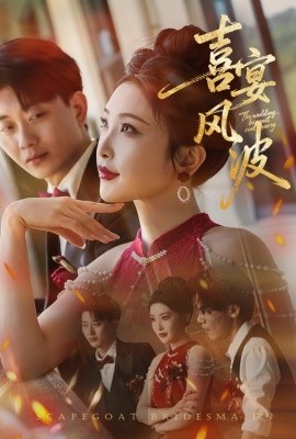 资源《喜宴风波&替罪伴娘》的海报