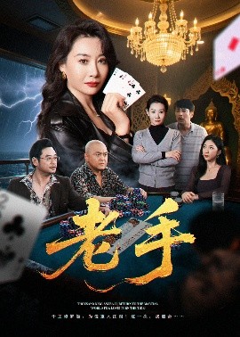 资源《老手》的海报