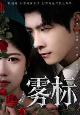 资源《雾标》的海报