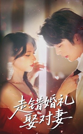 资源《走错婚礼娶对妻》的海报
