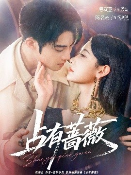 资源《占有蔷薇》的海报
